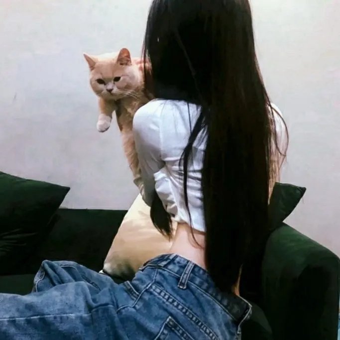 疯狂的狮王